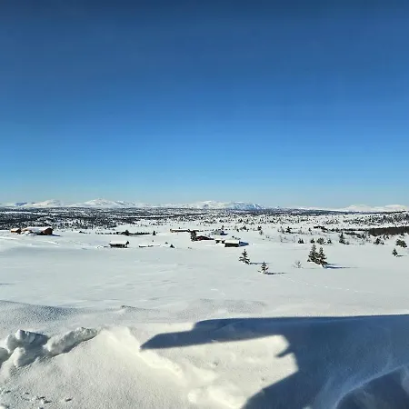 Utsikten Sør-Fron